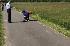 20190601_090417071_iOS