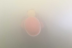 image_0