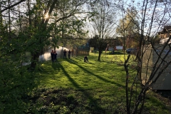 image-6