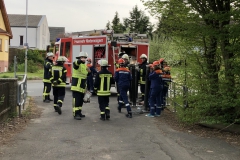 D1D58539-B8E7-41FE-A21B-45058241A1E6