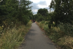 image_5